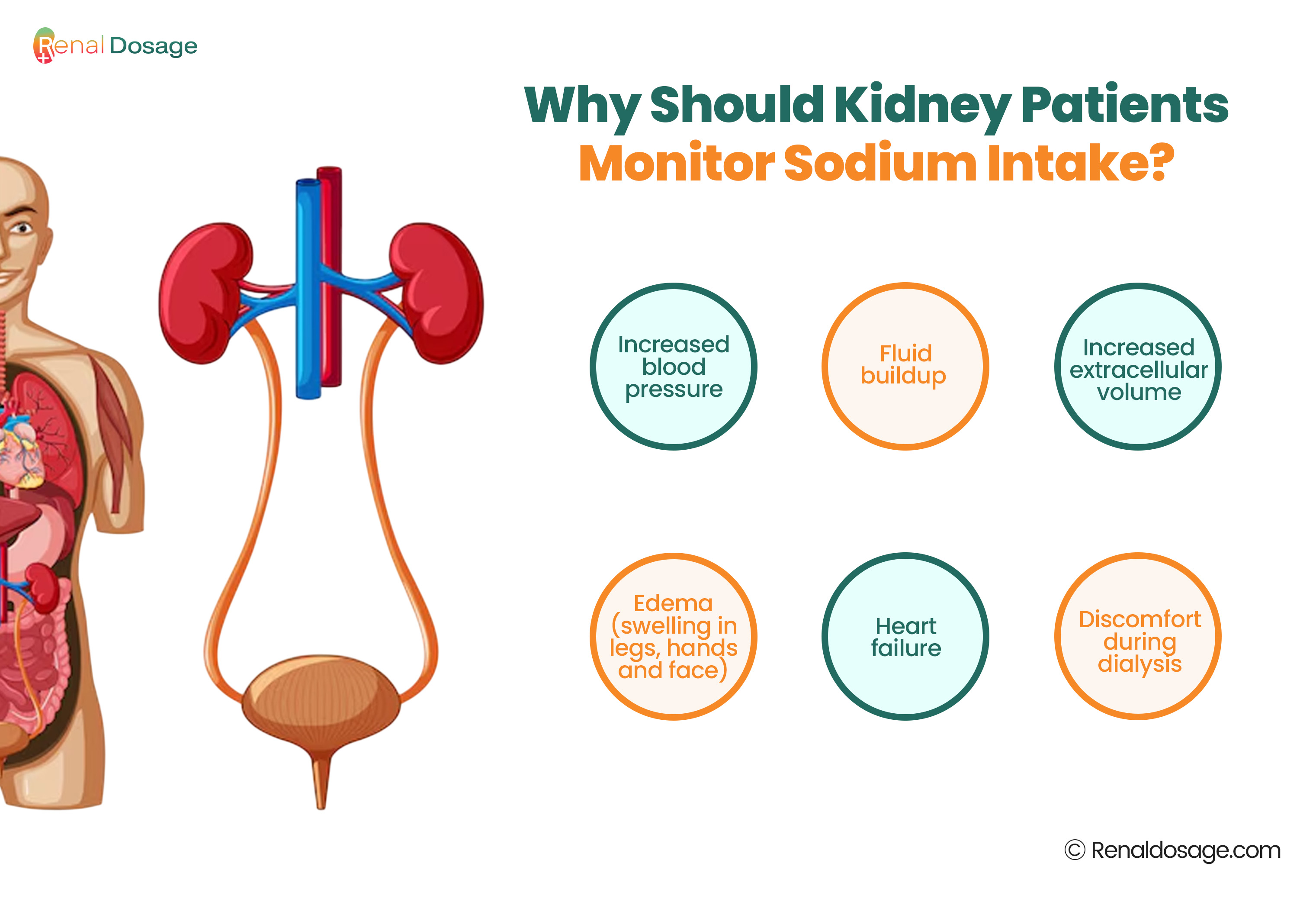 Why Should Kidney Patients Monitor Sodium Intake? 